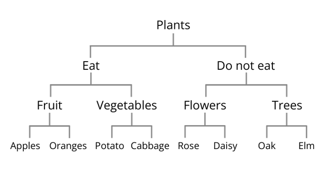 A word map showing types of plants. At the top is 'plants', split into 2 groups: 'eat' and 'do not eat'. Under 'eat' is 'fruit' (apples and oranges) and 'vegetables' (potato and cabbage). Under 'do not eat' is 'flowers' (rose and daisy) and 'trees' (oak and elm).