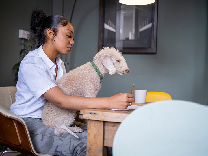 teenage girl sitting at dining table writing with white dog on lap