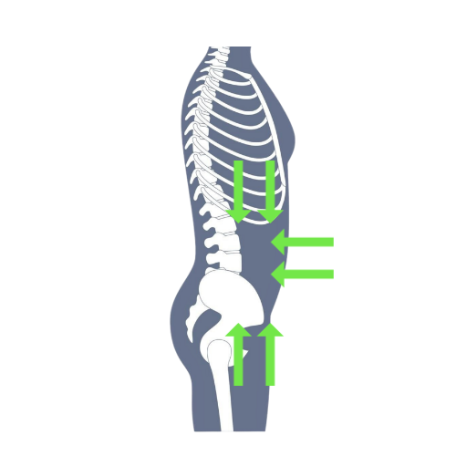 Side profile of a body showing the ribs with stomach pulled in, pelvis pulled forward and up and rib cage pulling down.