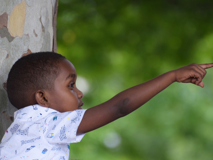 Young boy standing by a tree and pointing at something in the distance.
