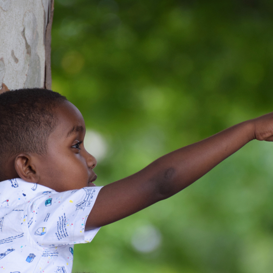Young boy standing by a tree and pointing at something in the distance.