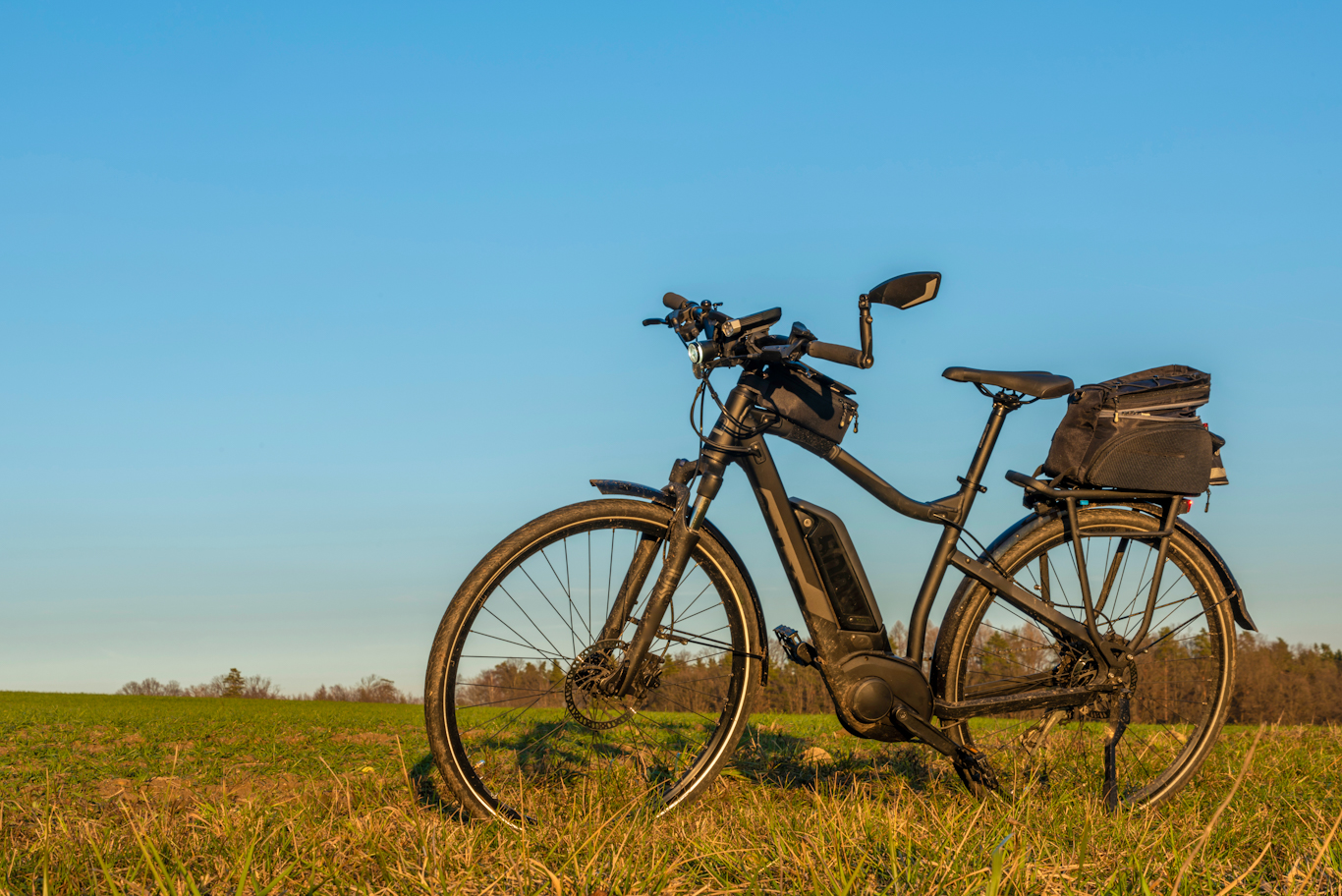 Ebike On Grass